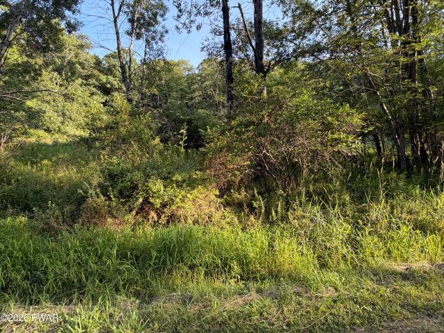 Land for sale in Panther Lake, Greene Township