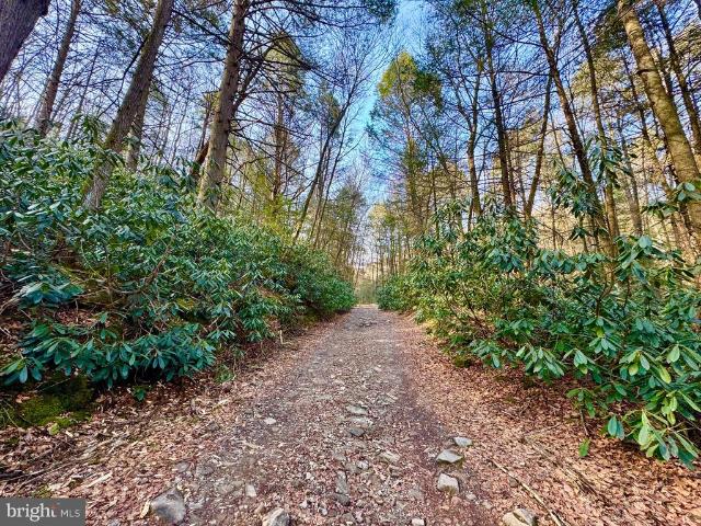 Land for sale in West Virginia