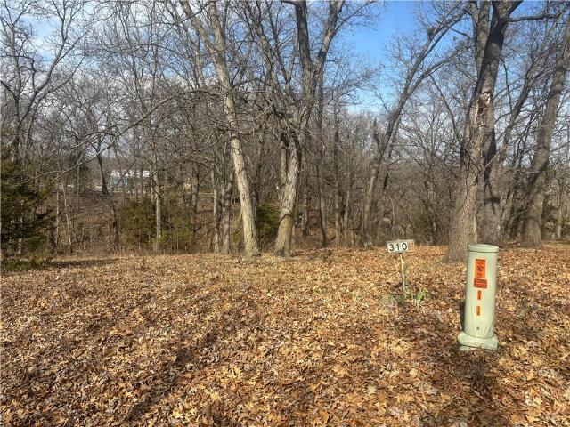 Land for sale in Altamont, Missouri