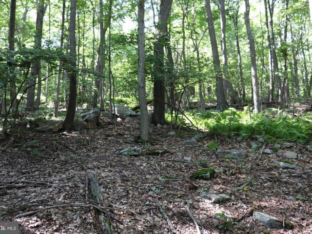 Land for sale in Blair, Pennsylvania