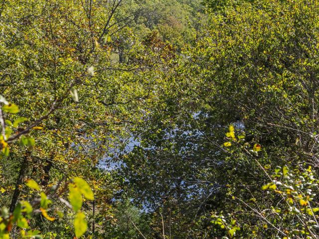 Land for sale in Stone, Missouri