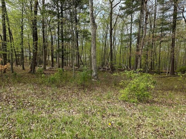 Land for sale in Dingmans Ferry, Pennsylvania