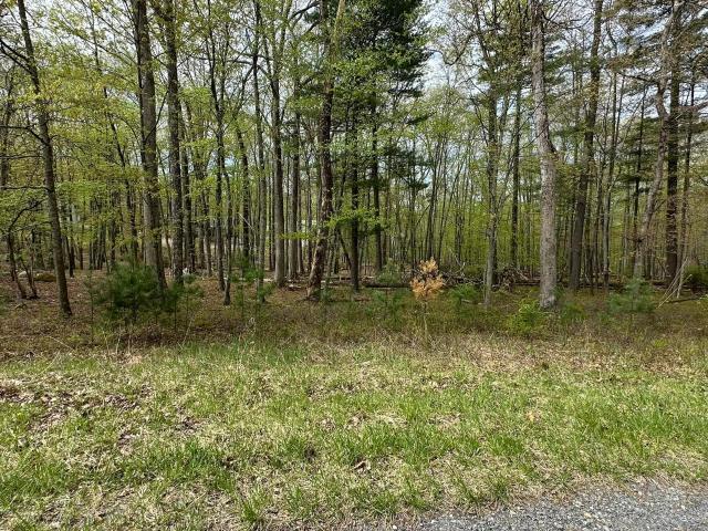 Land for sale in Dingmans Ferry, Pennsylvania
