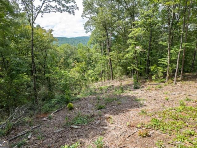 Land for sale in Pickens, Georgia