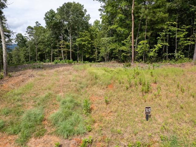 Land for sale in Pickens, Georgia