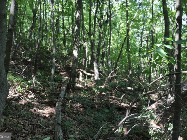 Land for sale in Blair, Pennsylvania