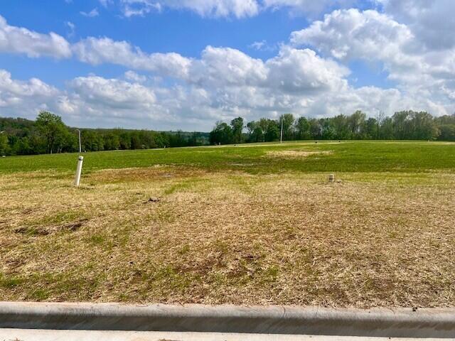 Land for sale in Springfield, Missouri