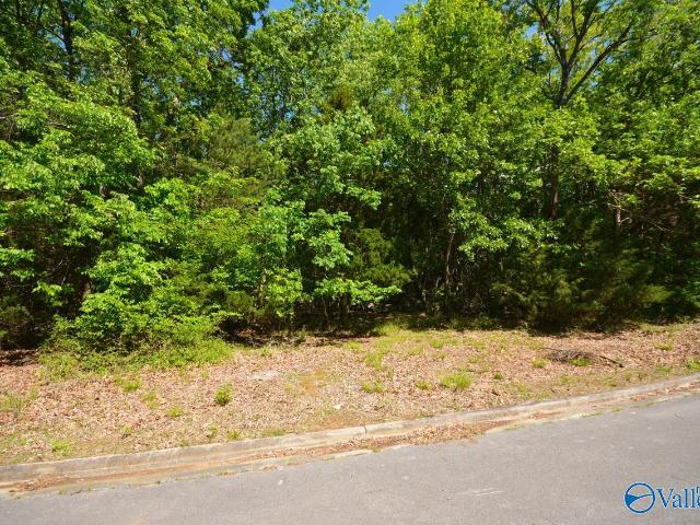 Land for sale in Huntsville