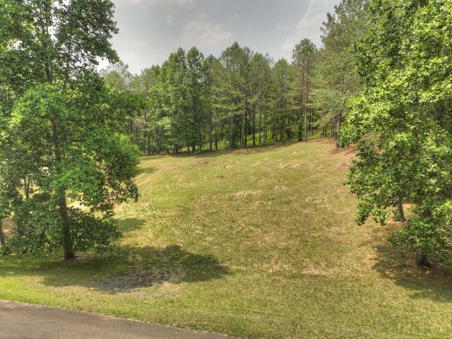 Land for sale in Gilmer, Georgia