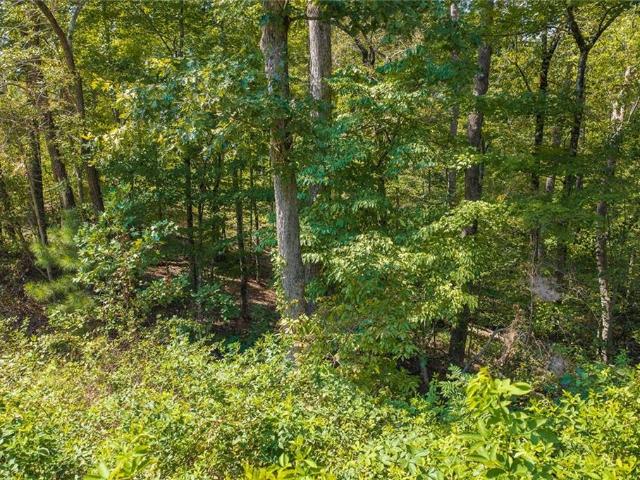 Land for sale in Talking Rock, Pickens County