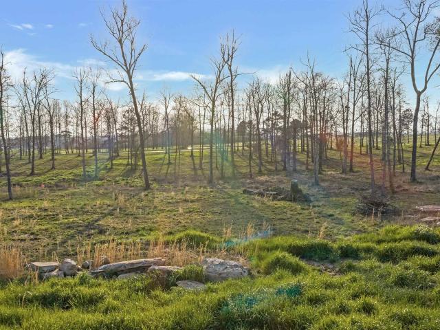 Land for sale in Rainsville, Alabama