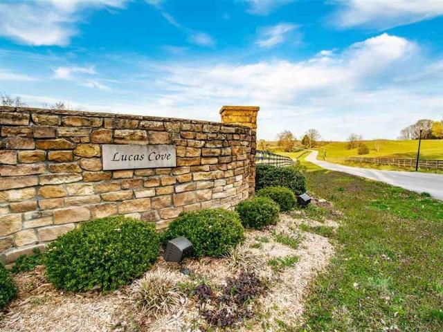 Land for sale in Glasgow, Kentucky