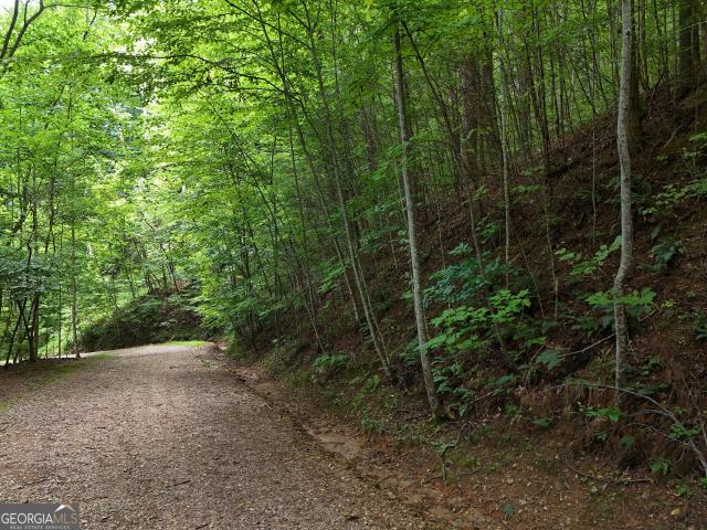 Land for sale in Blairsville, Union County
