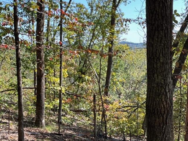 Land for sale in Marietta, South Carolina