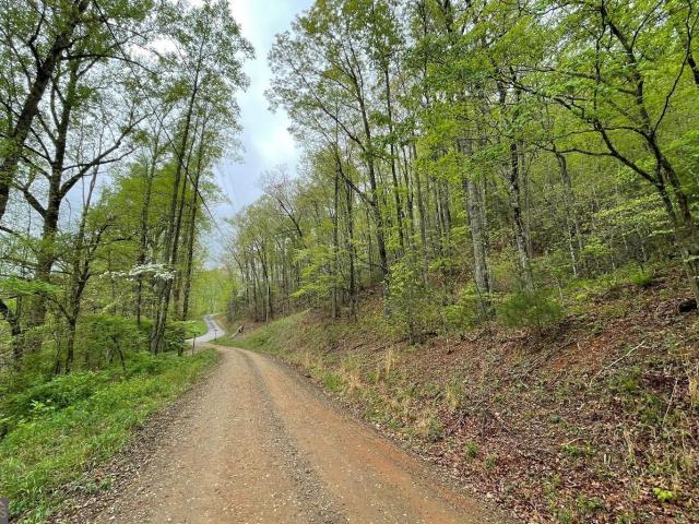 Land for sale in Hayesville, North Carolina