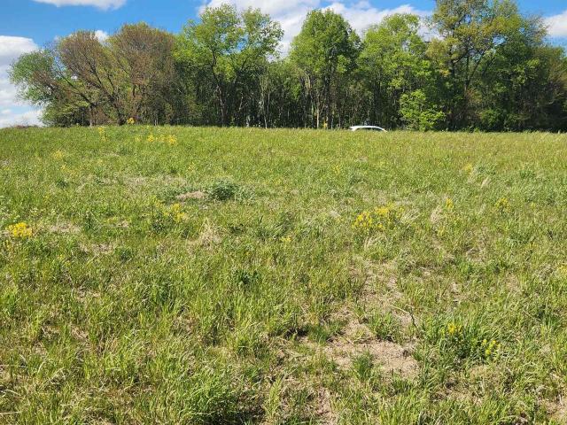 Land for sale in Cottage Grove, Wisconsin
