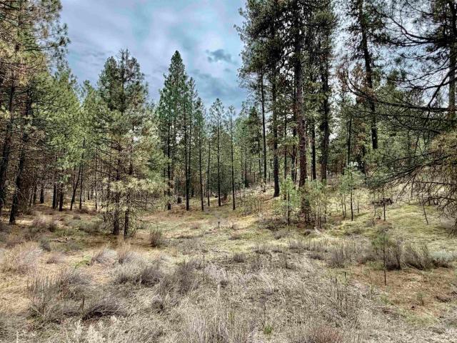 Land for sale in Idaho City, Idaho