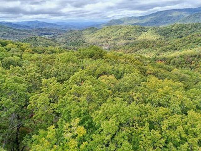Land for sale in Hayesville, North Carolina