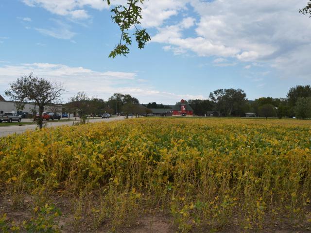 Land for sale in Spring Green, Wisconsin