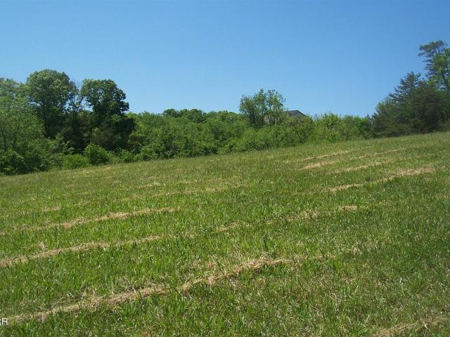 Land for sale in Tennessee
