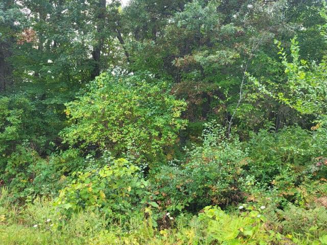 Land for sale in Oakdale, Wisconsin