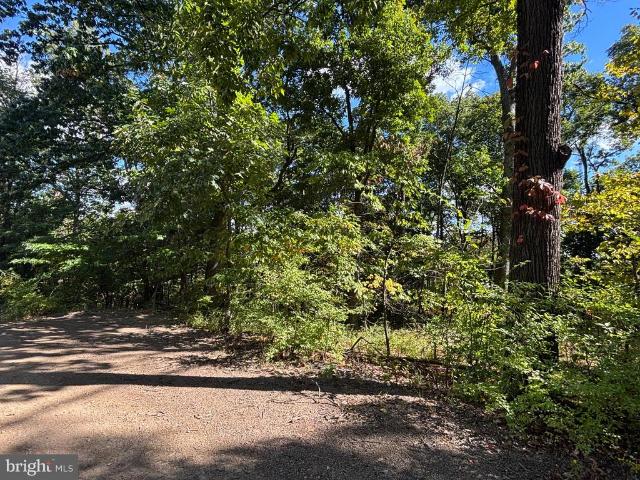 Land for sale in Hedgesville, Morgan County