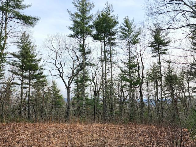 Land for sale in Pennsylvania
