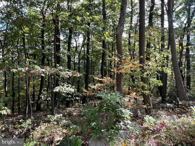 Land for sale in Crystal Spring, Pennsylvania