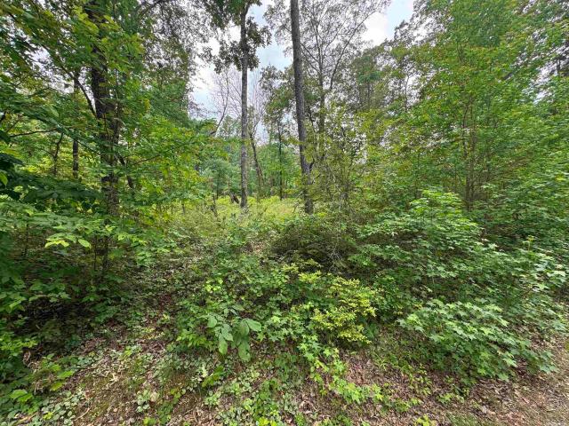 Land for sale in Hot Springs Village Land for sale in Hot Springs Village