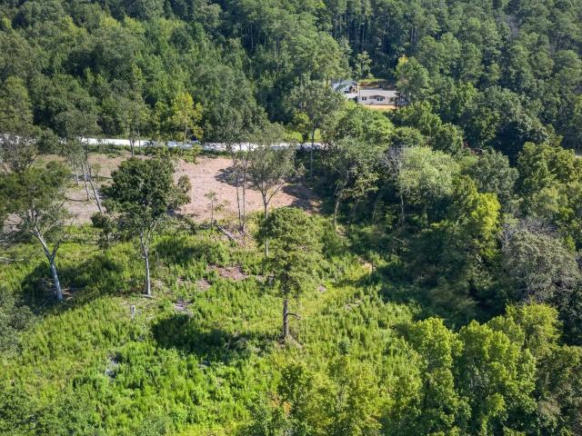 Land for sale in Centre, Alabama