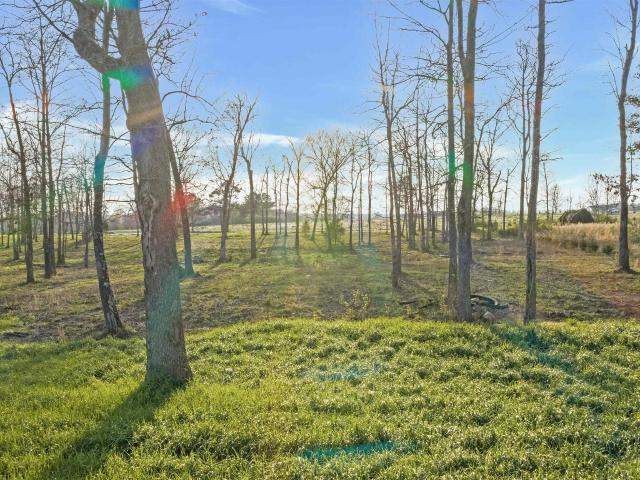 Land for sale in Rainsville, Alabama