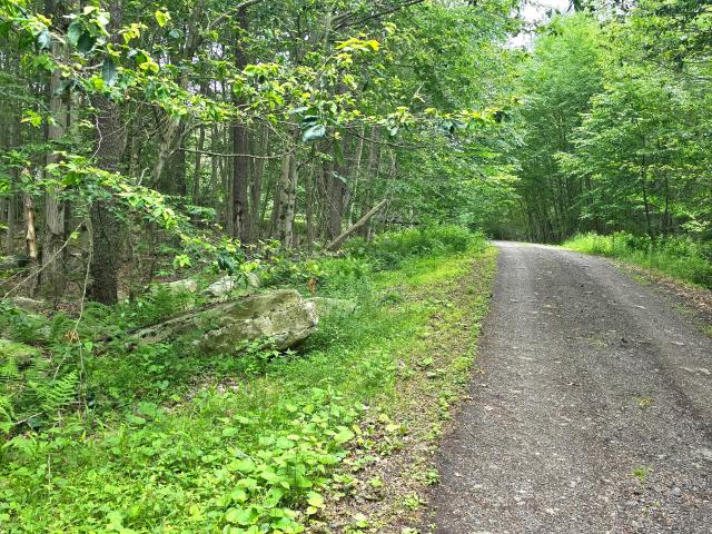Land for sale in Sullivan, Pennsylvania