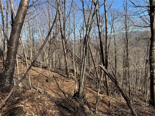 Land for sale in Avery, North Carolina