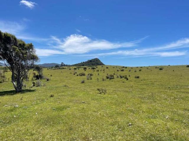 Property for sale in Great Barrier Island, Oroua County