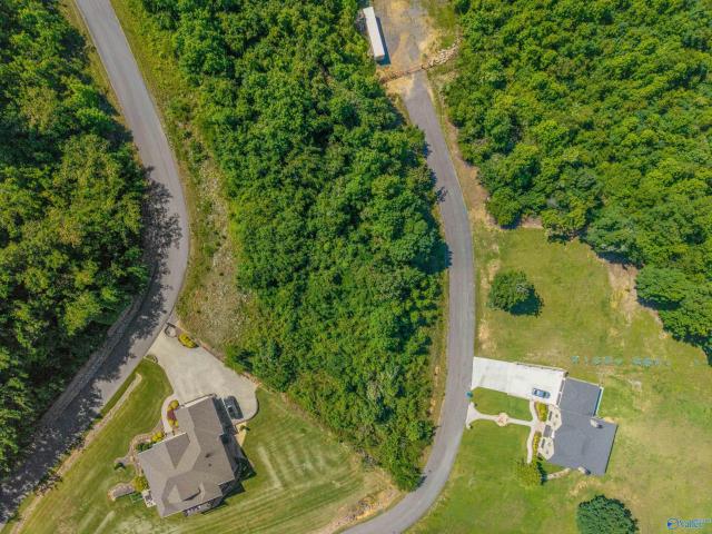 Land for sale in Grant, Alabama