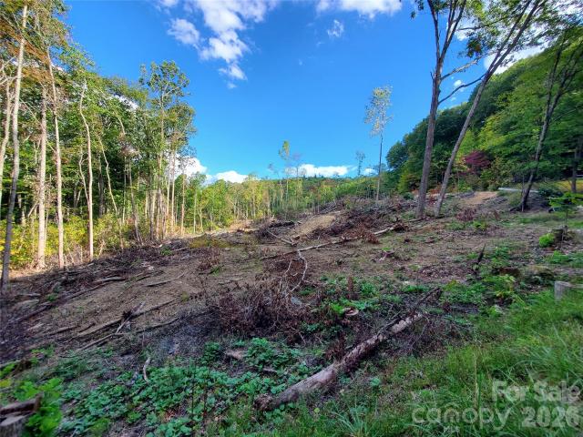 Land for sale in Spruce Pine, North Carolina