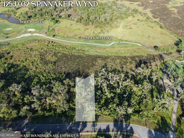 Land for sale in Waverly, Georgia
