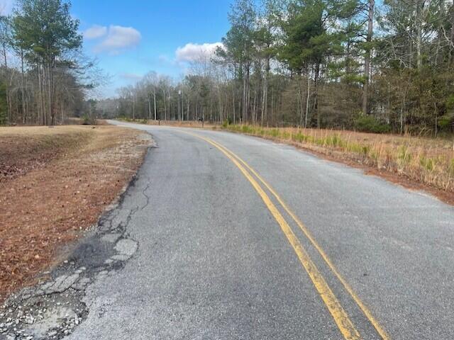 Land for sale in Stapleton, Georgia