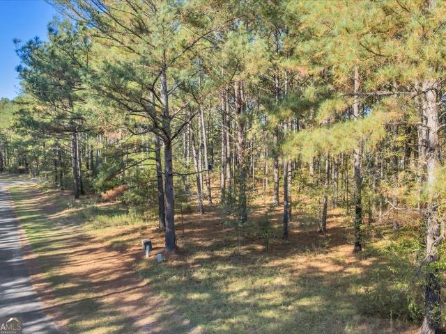 Land for sale in Dublin, Georgia