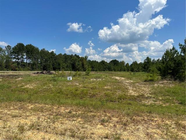 Land for sale in Franklinton, Louisiana