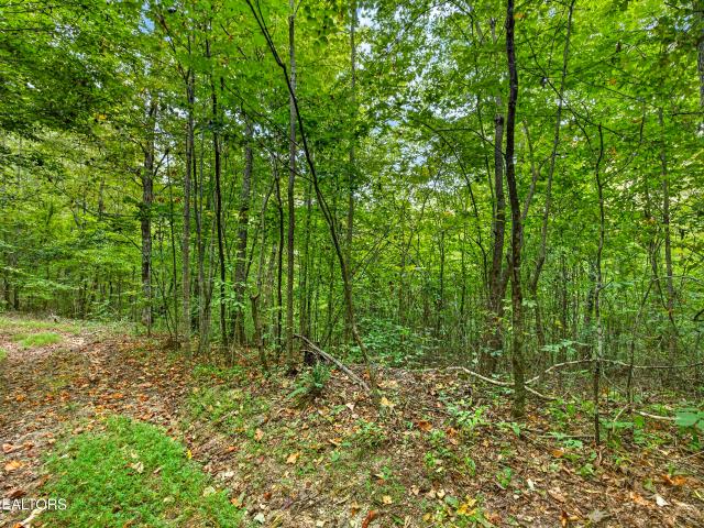 Land for sale in Celina, Middle Tennessee