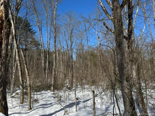 Land for sale in Town of Bethel, Sullivan County