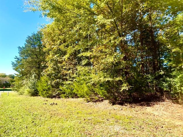 Land for sale in Starkville, Mississippi