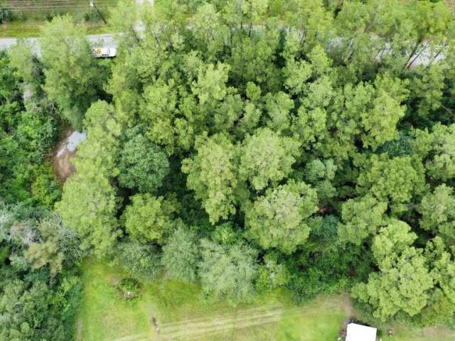 Land for sale in Jasper, Texas