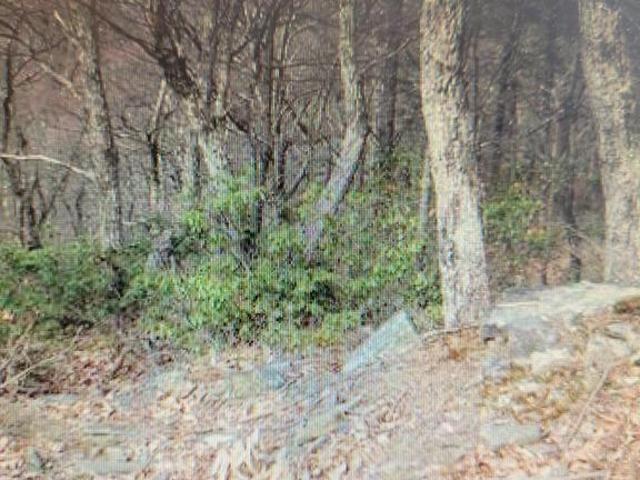 Land for sale in Hardy, West Virginia