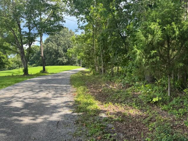 Land for sale in Cadiz, Kentucky