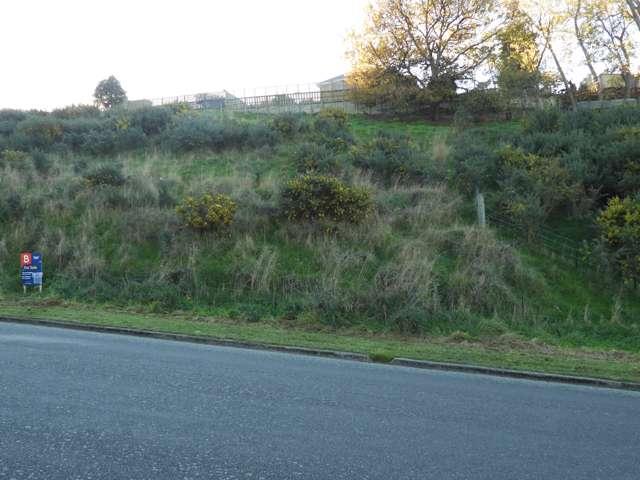 Land for sale in Otakou