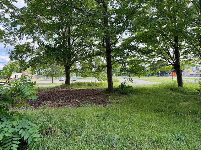 Land for sale in Elk Rapids, Michigan