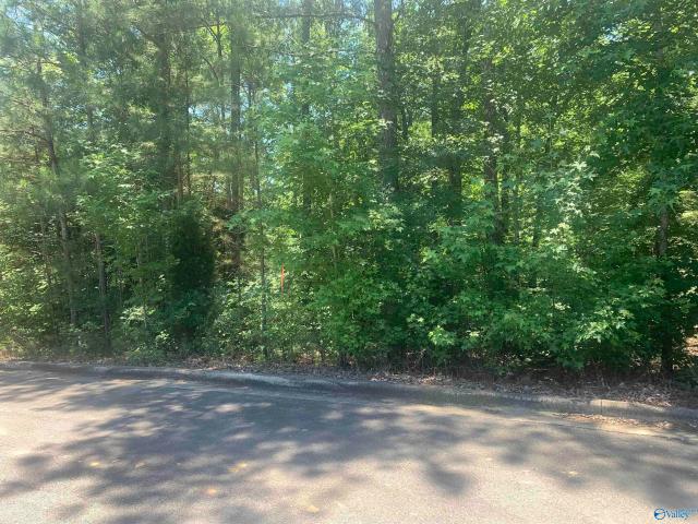 Land for sale in Leesburg, Alabama