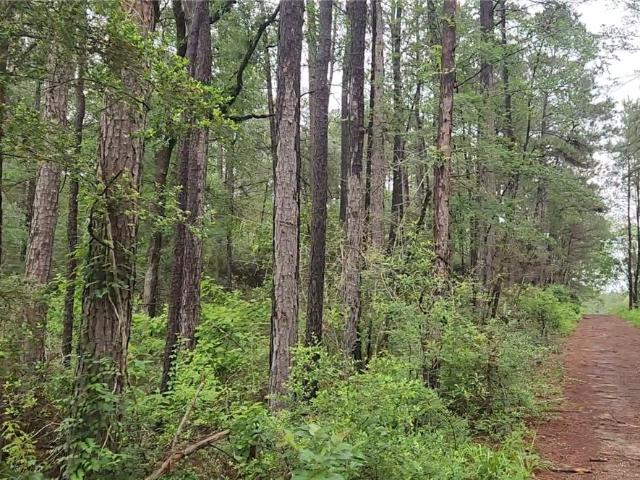Land for sale in Grimes, Texas